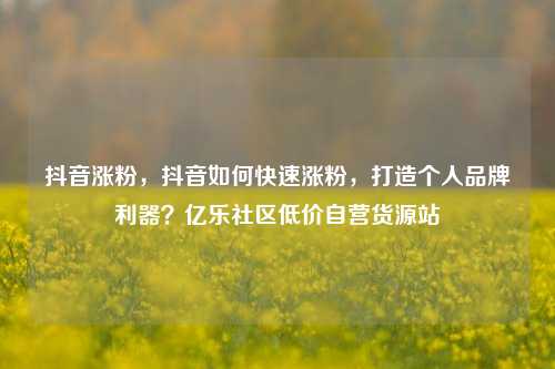 抖音涨粉，抖音如何快速涨粉，打造个人品牌利器？亿乐社区低价自营货源站  第1张