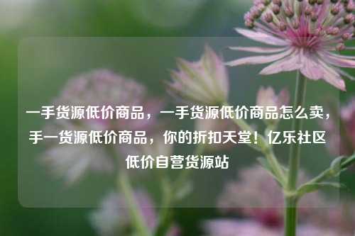 一手货源低价商品，一手货源低价商品怎么卖，手一货源低价商品	，你的折扣天堂！亿乐社区低价自营货源站  第1张