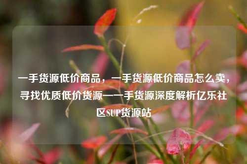 一手货源低价商品，一手货源低价商品怎么卖，寻找优质低价货源—一手货源深度解析亿乐社区SUP货源站  第1张