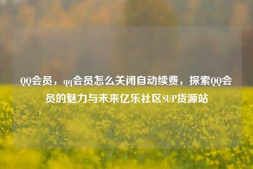 QQ会员，qq会员怎么关闭自动续费	，探索QQ会员的魅力与未来亿乐社区SUP货源站  第1张