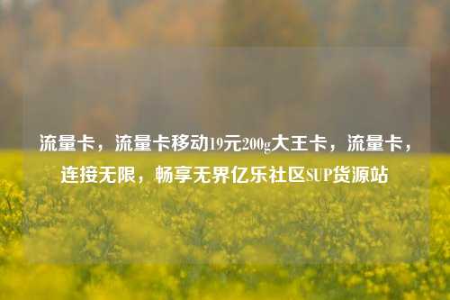 流量卡，流量卡移动19元200g大王卡	，流量卡，连接无限，畅享无界亿乐社区SUP货源站  第1张
