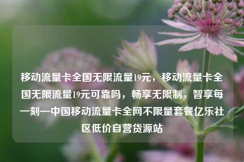 移动流量卡全国无限流量19元，移动流量卡全国无限流量19元可靠吗，畅享无限制，智享每一刻—中国移动流量卡全网不限量套餐亿乐社区低价自营货源站  第1张