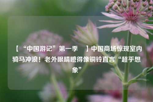 【“中国游记	”第一季㉚】中国商场惊现室内骑马冲浪！老外眼睛瞪得像铜铃直言“超乎想象”  第1张