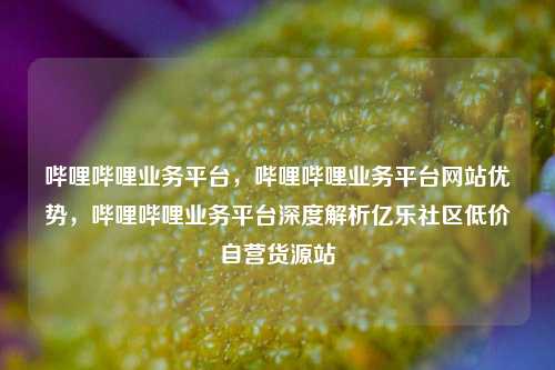 哔哩哔哩业务平台，哔哩哔哩业务平台网站优势，哔哩哔哩业务平台深度解析亿乐社区低价自营货源站  第1张