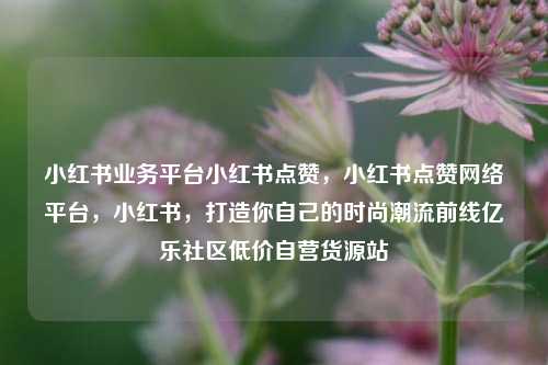 小红书业务平台小红书点赞	，小红书点赞网络平台，小红书，打造你自己的时尚潮流前线亿乐社区低价自营货源站  第1张