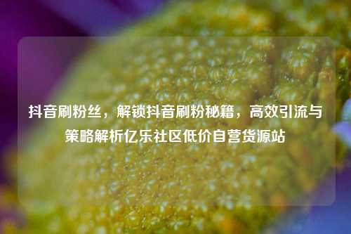 抖音刷粉丝，解锁抖音刷粉秘籍	，高效引流与策略解析亿乐社区低价自营货源站  第1张