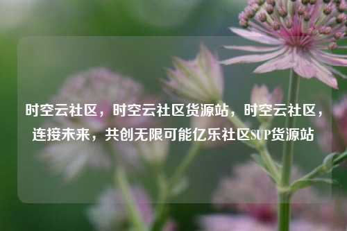 时空云社区	，时空云社区货源站，时空云社区，连接未来	，共创无限可能亿乐社区SUP货源站  第1张