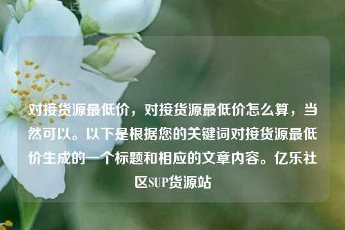 对接货源最低价，对接货源最低价怎么算	，当然可以。以下是根据您的关键词对接货源最低价生成的一个标题和相应的文章内容。亿乐社区SUP货源站  第1张