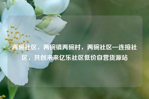 两碗社区，两碗镇两碗村，两碗社区—连接社区	，共创未来亿乐社区低价自营货源站  第1张