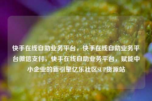 快手在线自助业务平台	，快手在线自助业务平台微信支付，快手在线自助业务平台，赋能中小企业的新引擎亿乐社区SUP货源站  第1张