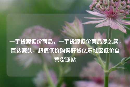 一手货源低价商品，一手货源低价商品怎么卖	，直达源头，超值低价购得好货亿乐社区低价自营货源站  第1张