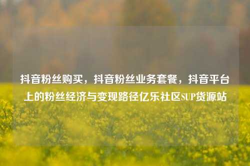 抖音粉丝购买，抖音粉丝业务套餐，抖音平台上的粉丝经济与变现路径亿乐社区SUP货源站  第1张