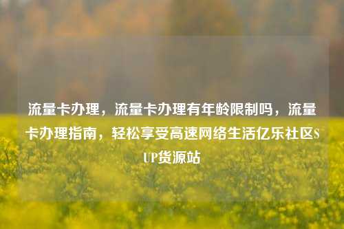 流量卡办理，流量卡办理有年龄限制吗	，流量卡办理指南，轻松享受高速网络生活亿乐社区SUP货源站  第1张