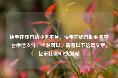 快手在线自助业务平台，快手在线自助业务平台微信支付，当然可以	，请看以下这篇文章，亿乐社区SUP货源站  第1张