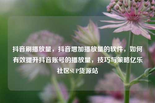抖音刷播放量，抖音增加播放量的软件	，如何有效提升抖音账号的播放量，技巧与策略亿乐社区SUP货源站  第1张