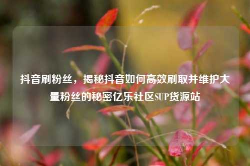抖音刷粉丝，揭秘抖音如何高效刷取并维护大量粉丝的秘密亿乐社区SUP货源站  第1张