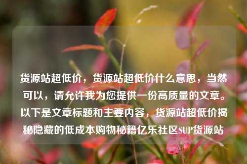 货源站超低价，货源站超低价什么意思	，当然可以，请允许我为您提供一份高质量的文章。以下是文章标题和主要内容，货源站超低价揭秘隐藏的低成本购物秘籍亿乐社区SUP货源站  第1张