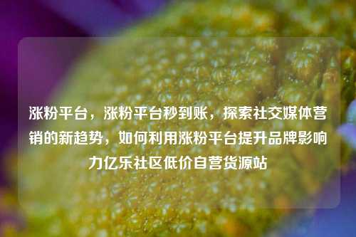 涨粉平台，涨粉平台秒到账，探索社交媒体营销的新趋势，如何利用涨粉平台提升品牌影响力亿乐社区低价自营货源站  第1张