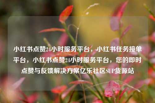 小红书点赞24小时服务平台	，小红书任务接单平台，小红书点赞24小时服务平台，您的即时点赞与反馈解决方案亿乐社区SUP货源站  第1张