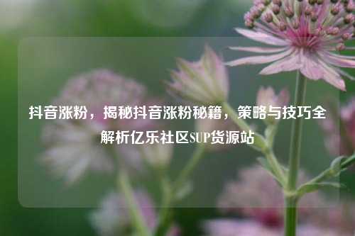 抖音涨粉，揭秘抖音涨粉秘籍	，策略与技巧全解析亿乐社区SUP货源站  第1张