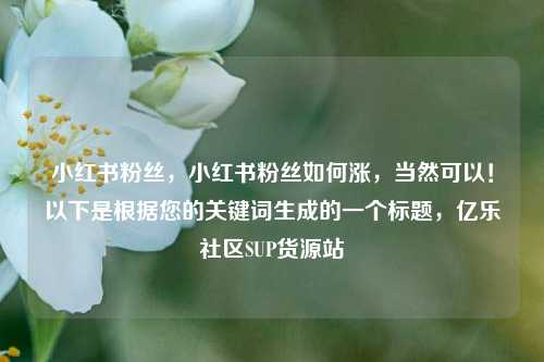 小红书粉丝，小红书粉丝如何涨	，当然可以！以下是根据您的关键词生成的一个标题，亿乐社区SUP货源站  第1张