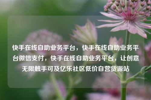 快手在线自助业务平台，快手在线自助业务平台微信支付，快手在线自助业务平台	，让创意无限触手可及亿乐社区低价自营货源站  第1张
