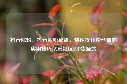 抖音涨粉，抖音涨粉秘籍	，快速提升粉丝量的实用技巧亿乐社区SUP货源站  第1张