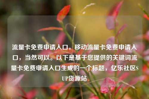 流量卡免费申请入口，移动流量卡免费申请入口，当然可以。以下是基于您提供的关键词流量卡免费申请入口生成的一个标题	，亿乐社区SUP货源站  第1张