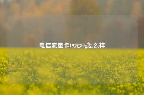 电信流量卡19元80g怎么样  第1张