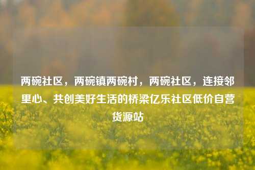 两碗社区，两碗镇两碗村	，两碗社区，连接邻里心	、共创美好生活的桥梁亿乐社区低价自营货源站  第1张