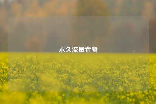 永久流量套餐  第1张