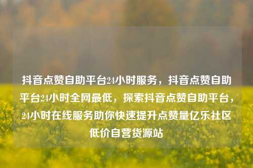 抖音点赞自助平台24小时服务	，抖音点赞自助平台24小时全网最低，探索抖音点赞自助平台，24小时在线服务助你快速提升点赞量亿乐社区低价自营货源站  第1张