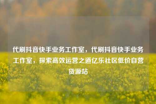 代刷抖音快手业务工作室	，代刷抖音快手业务工作室，探索高效运营之道亿乐社区低价自营货源站  第1张