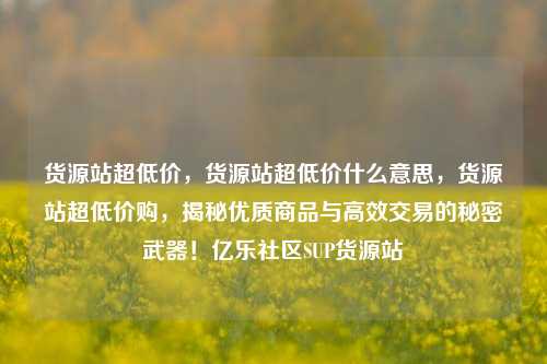 货源站超低价，货源站超低价什么意思，货源站超低价购	，揭秘优质商品与高效交易的秘密武器！亿乐社区SUP货源站  第1张