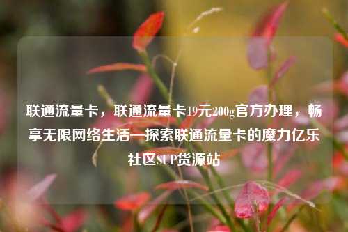 联通流量卡	，联通流量卡19元200g官方办理，畅享无限网络生活—探索联通流量卡的魔力亿乐社区SUP货源站  第1张