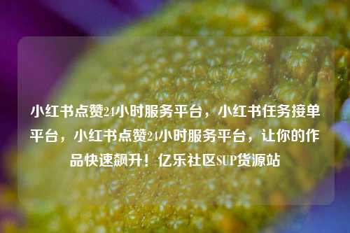 小红书点赞24小时服务平台，小红书任务接单平台，小红书点赞24小时服务平台	，让你的作品快速飙升！亿乐社区SUP货源站  第1张