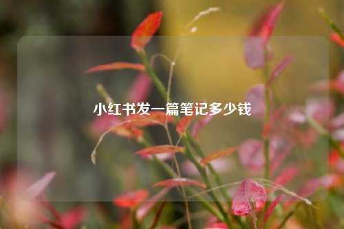 小红书发一篇笔记多少钱  第1张