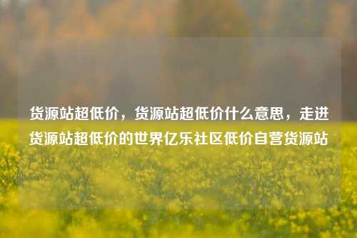 货源站超低价	，货源站超低价什么意思，走进货源站超低价的世界亿乐社区低价自营货源站  第1张