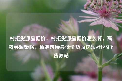 对接货源最低价	，对接货源最低价怎么算，高效寻源策略，精准对接最低价货源亿乐社区SUP货源站  第1张