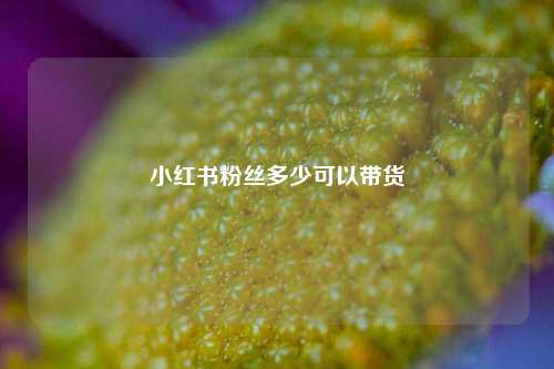 小红书粉丝多少可以带货  第1张