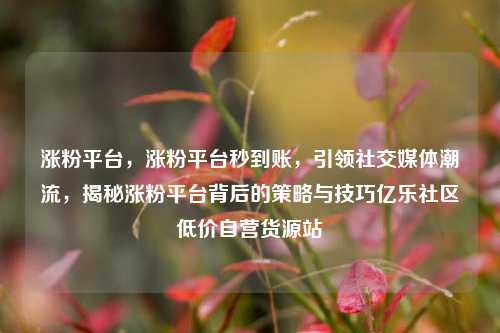 涨粉平台，涨粉平台秒到账，引领社交媒体潮流，揭秘涨粉平台背后的策略与技巧亿乐社区低价自营货源站  第1张