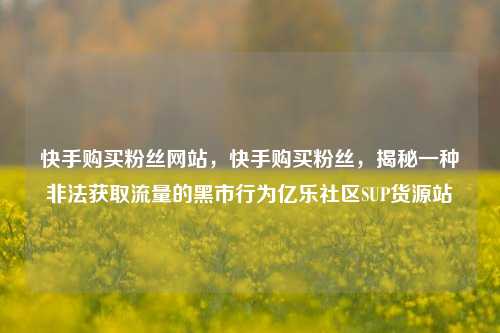 快手购买粉丝网站	，快手购买粉丝，揭秘一种非法获取流量的黑市行为亿乐社区SUP货源站  第1张