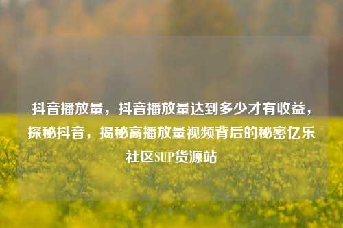 抖音播放量，抖音播放量达到多少才有收益	，探秘抖音，揭秘高播放量视频背后的秘密亿乐社区SUP货源站  第1张