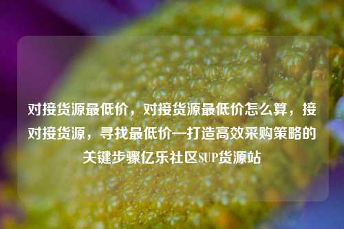 对接货源最低价，对接货源最低价怎么算，接对接货源	，寻找最低价—打造高效采购策略的关键步骤亿乐社区SUP货源站  第1张
