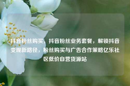 抖音粉丝购买，抖音粉丝业务套餐，解锁抖音变现新路径	，粉丝购买与广告合作策略亿乐社区低价自营货源站  第1张