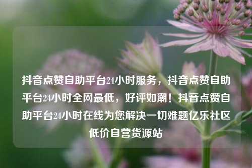 抖音点赞自助平台24小时服务，抖音点赞自助平台24小时全网最低，好评如潮！抖音点赞自助平台24小时在线为您解决一切难题亿乐社区低价自营货源站  第1张
