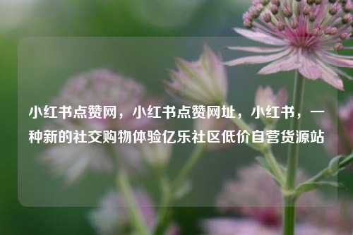小红书点赞网，小红书点赞网址，小红书	，一种新的社交购物体验亿乐社区低价自营货源站  第1张