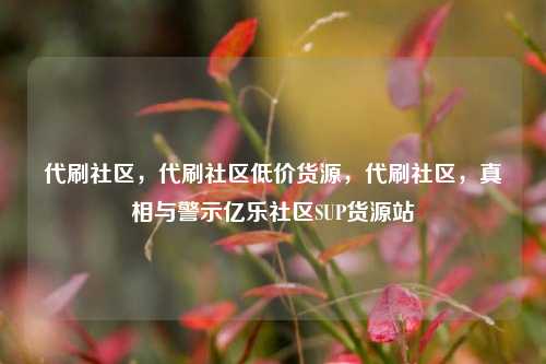代刷社区	，代刷社区低价货源，代刷社区，真相与警示亿乐社区SUP货源站  第1张
