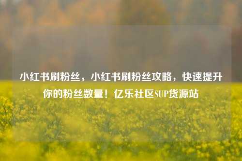 小红书刷粉丝	，小红书刷粉丝攻略，快速提升你的粉丝数量！亿乐社区SUP货源站  第1张