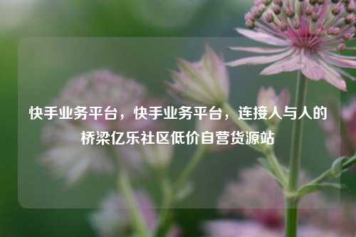 快手业务平台，快手业务平台	，连接人与人的桥梁亿乐社区低价自营货源站  第1张